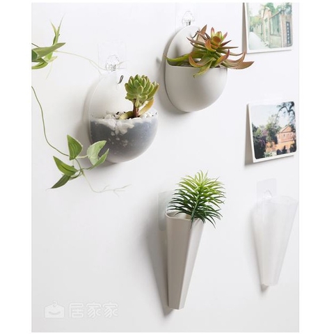 Chậu cây cảnh mini trang trí dính tường có móc treo