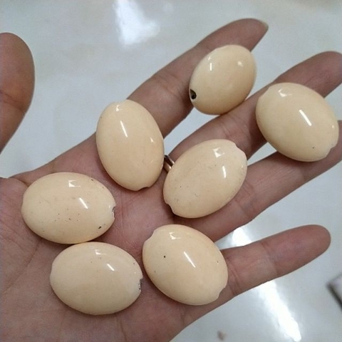 2 viên gốm sứ oval màu 21x28mn