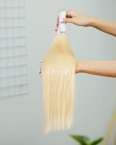 STRAIGHT BULK HAIR | #10.0 COLOR