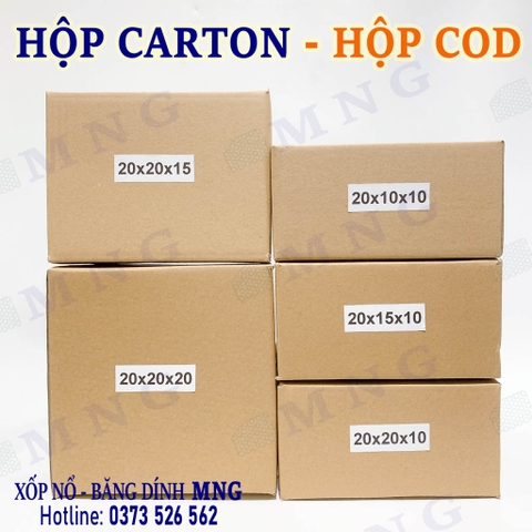 Hộp Carton size trung bình M (20-30cm)