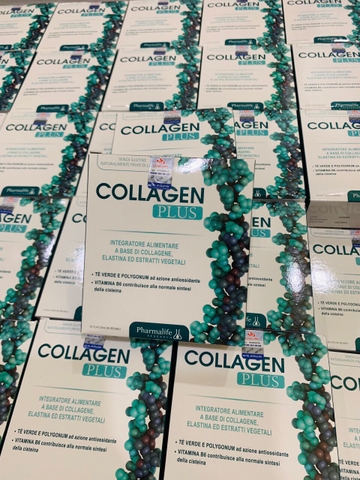 COLLAGEN ĐẠI DƯƠNG THỦY PHÂN COLLAGEN PLUS PHARMALIFE MẪU MỚI