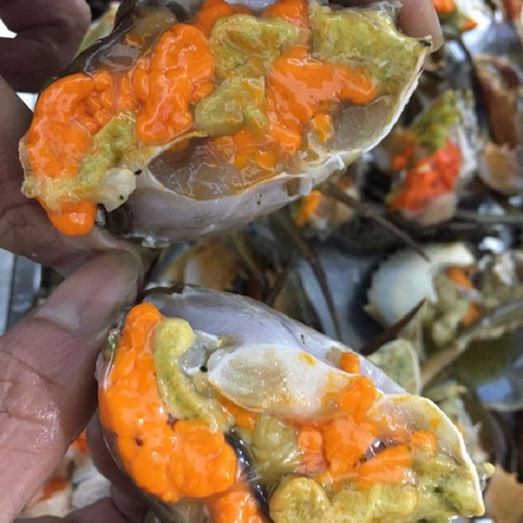 Cua gạch - Trọng lượng mỗi con từ 480g trở lên
