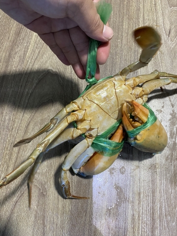 Cua thịt - Trọng lượng mỗi con từ 300g đến 399g