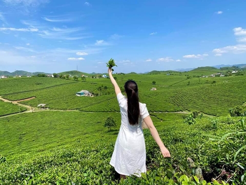 Mộc Châu - Cầu Kính Bạch Long 2 ngày 1 đêm (Khách sạn Mường Thanh)