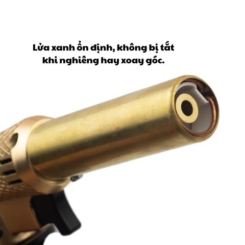 Khò vàng Wynn's W5502