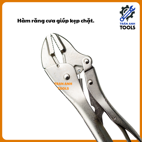 Kìm Chết Wynn's Mỏ Bằng / Mỏ Cong, Kìm Khóa Lưỡi Tròn CRV Cao Cấp