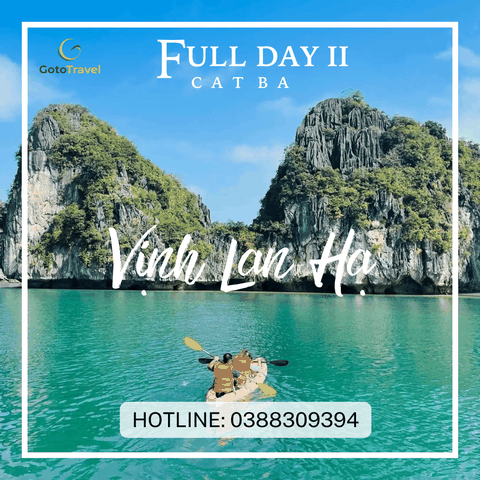 [TOUR CÁT BÀ] TOUR VỊNH LAN HẠ 1 NGÀY PANORAMA CRUISE - THAM QUAN VỊNH LAN HẠ – HÒN RÙA – HANG SÁNG & HANG TỐI– RẠNG DỪA – ĐẦU BÊ - BA TRÁI ĐÀO (FULL DAY VIP2 PANORAMA)