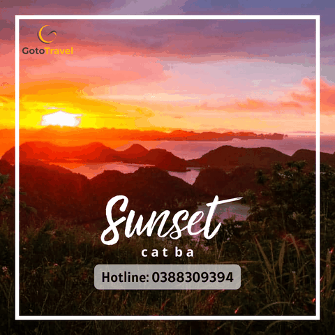 [TOUR CÁT BÀ] TOUR VỊNH NỬA NGÀY PANORAMA CRUISE - TIỆC HOÀNG HÔN TRÊN BIỂN THAM QUAN LÀNG CHÀI - VỊNH LAN HẠ - HÒN RÙA – VẠN BỘI