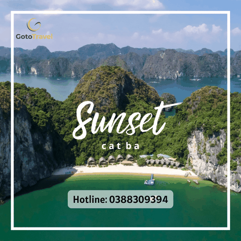 [TOUR CÁT BÀ] TOUR VỊNH NỬA NGÀY SERENITY CRUISES - LAN HẠ YÊN BÌNH TRONG NẮNG CHIỀU (