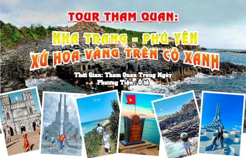 TOUR THAM QUAN NHA TRANG - PHÚ YÊN XỨ HOA VÀNG TRÊN CỎ XANH
