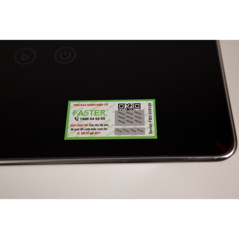 Bếp từ đôi Faster 389i