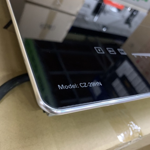 Bếp từ đôi Canzy CZ-29HN