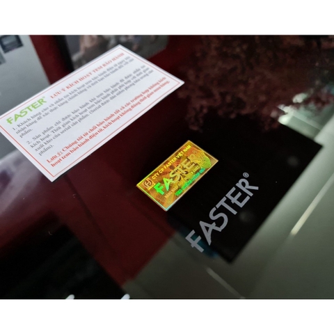 Bếp từ đôi Faster FS 738i Plus