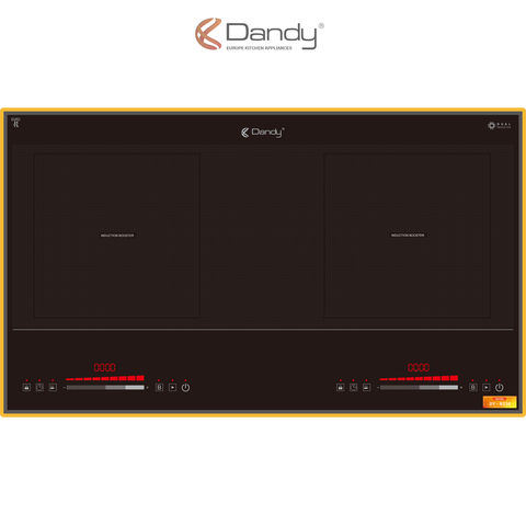 Bếp điện từ Dandy DY-B236