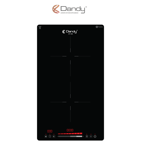 Bếp điện từ cao cấp DY-300