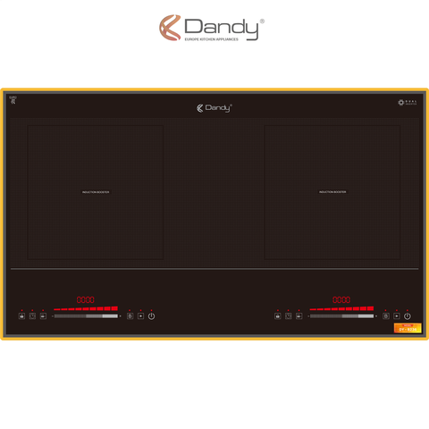 Bếp điện từ Dandy DY-B236