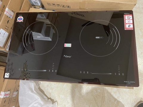 Bếp từ đôi Canzy CZ 6699Plus