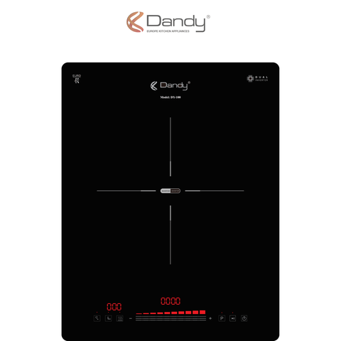 Bếp điện từ cao cấp DY-100