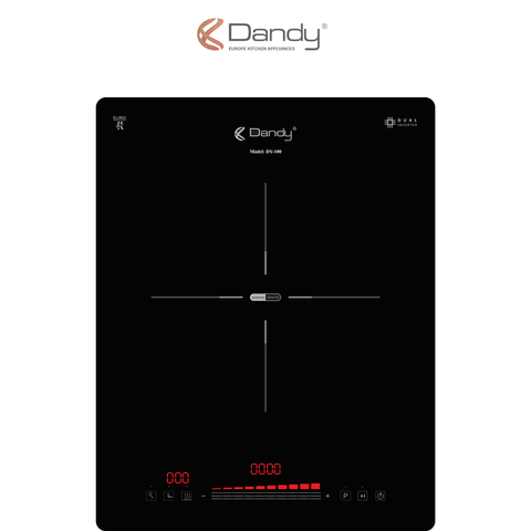 Bếp điện từ cao cấp DY-100