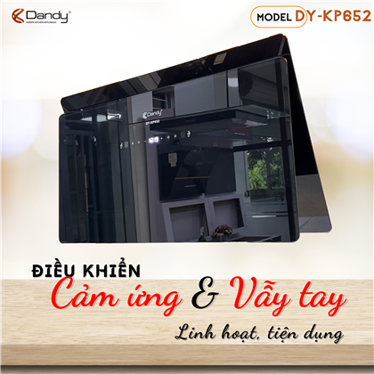 Máy hút khói khử mùi cao cấp DANDY DY-KP652_KP659