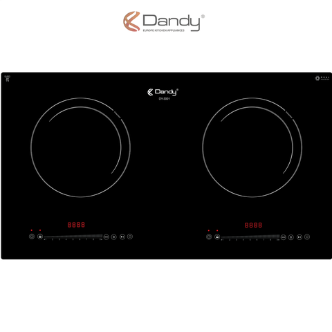 Bếp điện từ cao cấp DY-3001