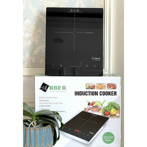 Bếp từ đơn Arber AB265A
