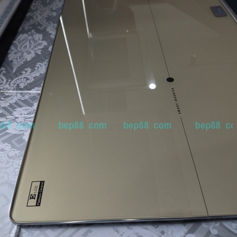 Bếp từ đôi Canzy CZ TL0788