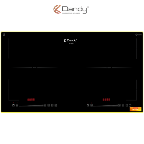 Bếp điện từ cao cấp DY-4002