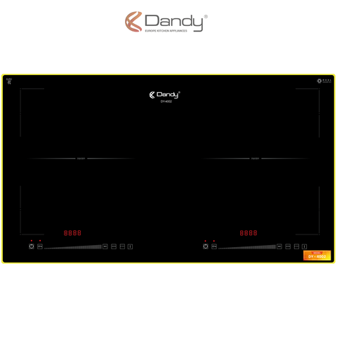 Bếp điện từ cao cấp DY-4002