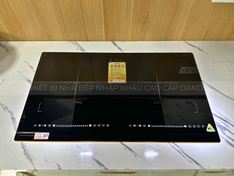 Bếp điện từ cao cấp DY-T556