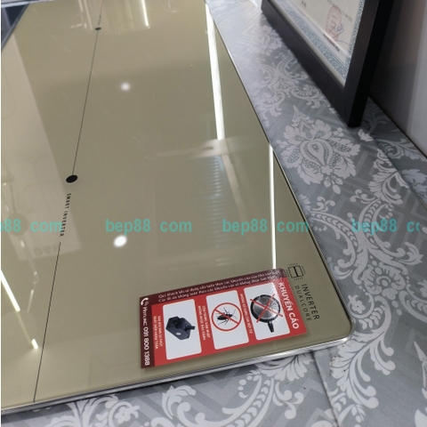 Bếp từ đôi Canzy CZ TL0788