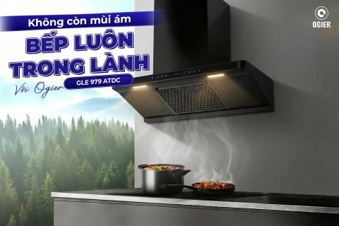 Máy hút mùi tự động làm sạch Ogier GLE 979 ATDC