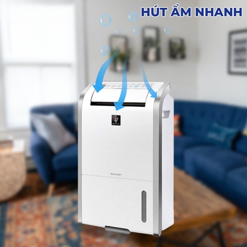 Máy hút ẩm Sharp DW-D20A-W