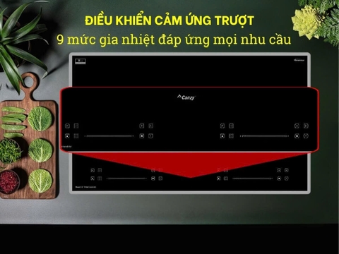 Bếp từ Canzy CZ I36912C
