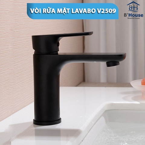 Vòi rửa mặt lavabo V 2509