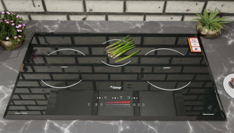 Bếp từ đôi Canzy CZ TL67GA