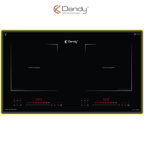 Bếp điện từ Dandy DY-TU895