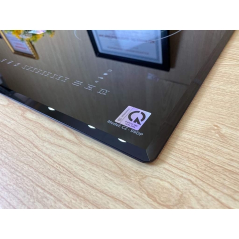 Bếp từ đôi Canzy CZ 99DP