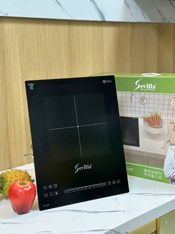 Bếp từ đơn , bếp từ đôi cho công trình , dự án , chung cư mini