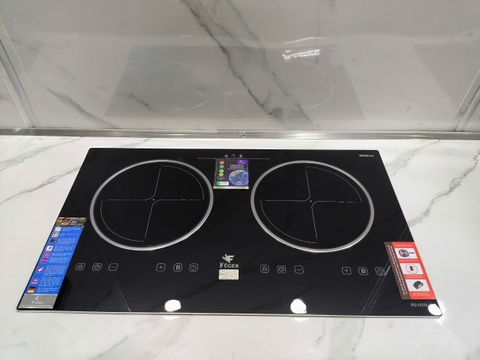 Bếp từ đơn , bếp từ đôi cho công trình , dự án , chung cư mini