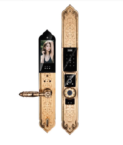 Khóa thông minh AVOLOCK AC 996F