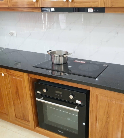 Lò nướng Canzy CZ-09DL