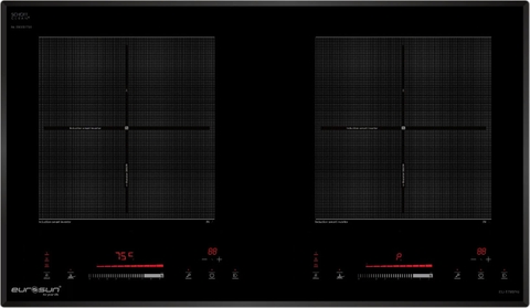 Bếp từ EUROSUN EU-T798Pro