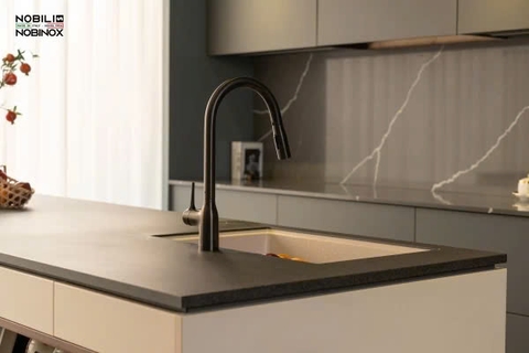 Vòi rửa bát NoBiNox MANIA NB308G