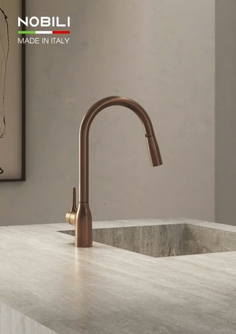 Vòi rửa bát NoBiNox  MANIA NB307A