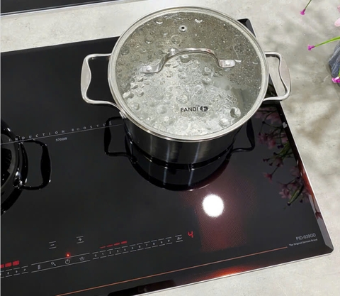 Bếp từ FANDI FD PID939GD