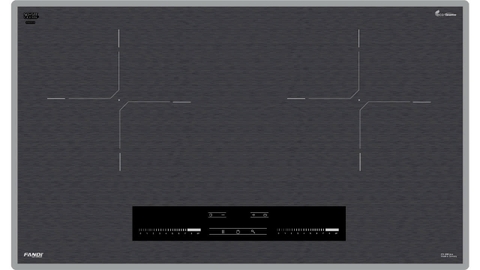 Bếp từ Fandi FD-999 PLUS