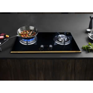 BẾP GAS GRANDX GX GS299D