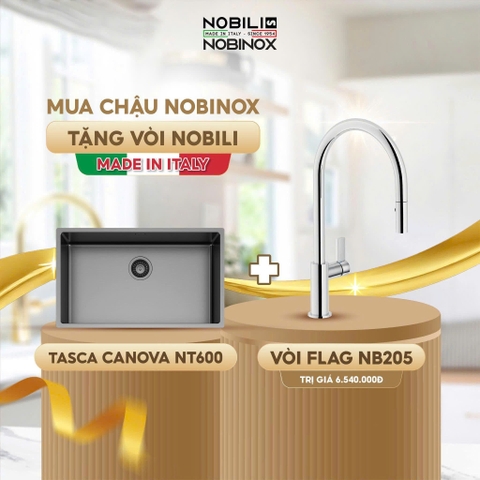 Chậu rửa bát NoBiNox  NT600B