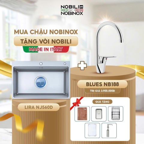 Chậu rửa bát NoBiNox  NJ560D